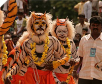 印度节日图片