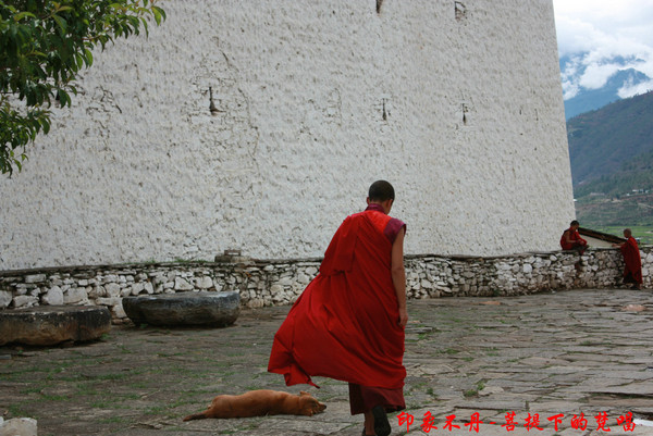不丹的宗教,虎穴寺,苯教