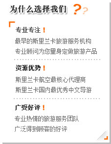 选择我们