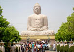 印度佛教旅游
