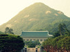 青瓦台